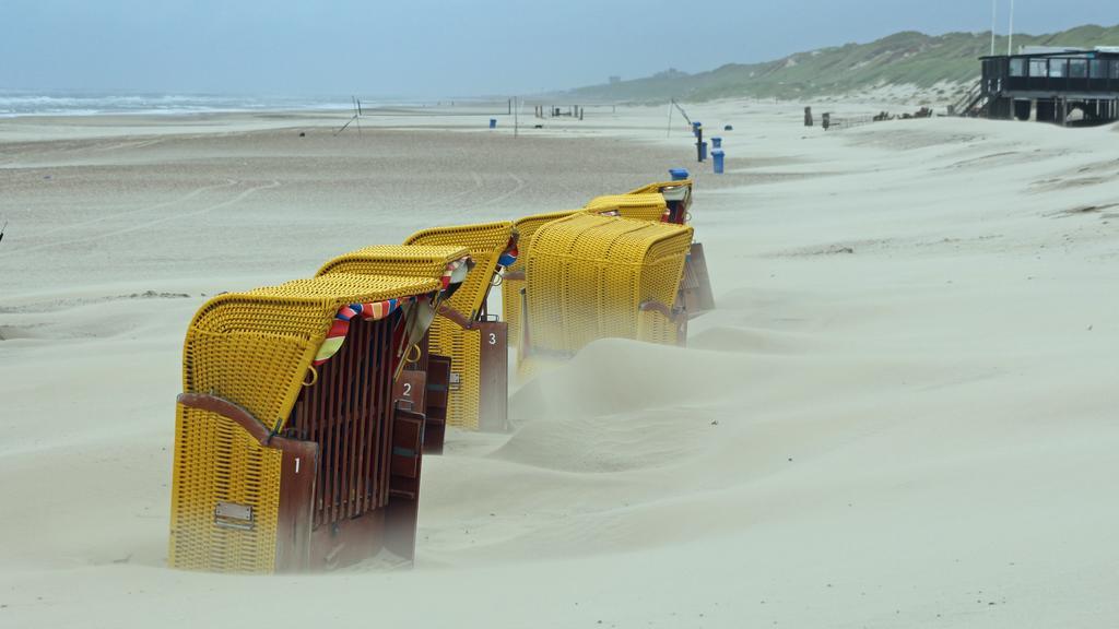 Beach House Sea-Esta Egmond aan Zee Exterior foto